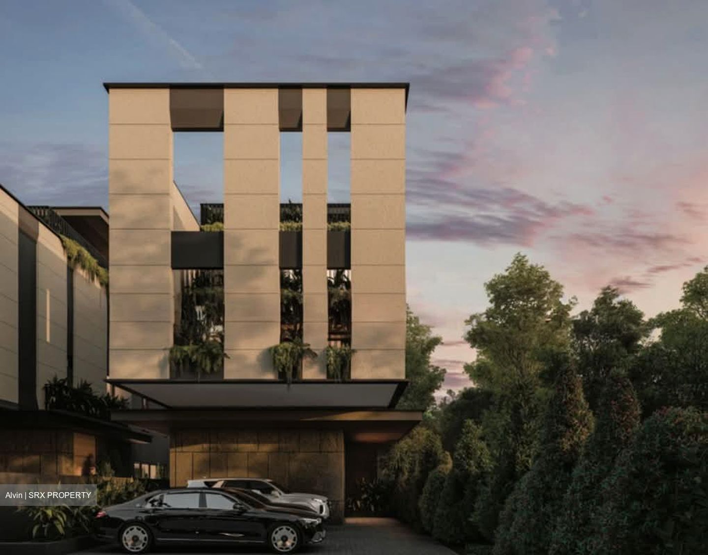 Palm Road (D15), Terrace #556154541